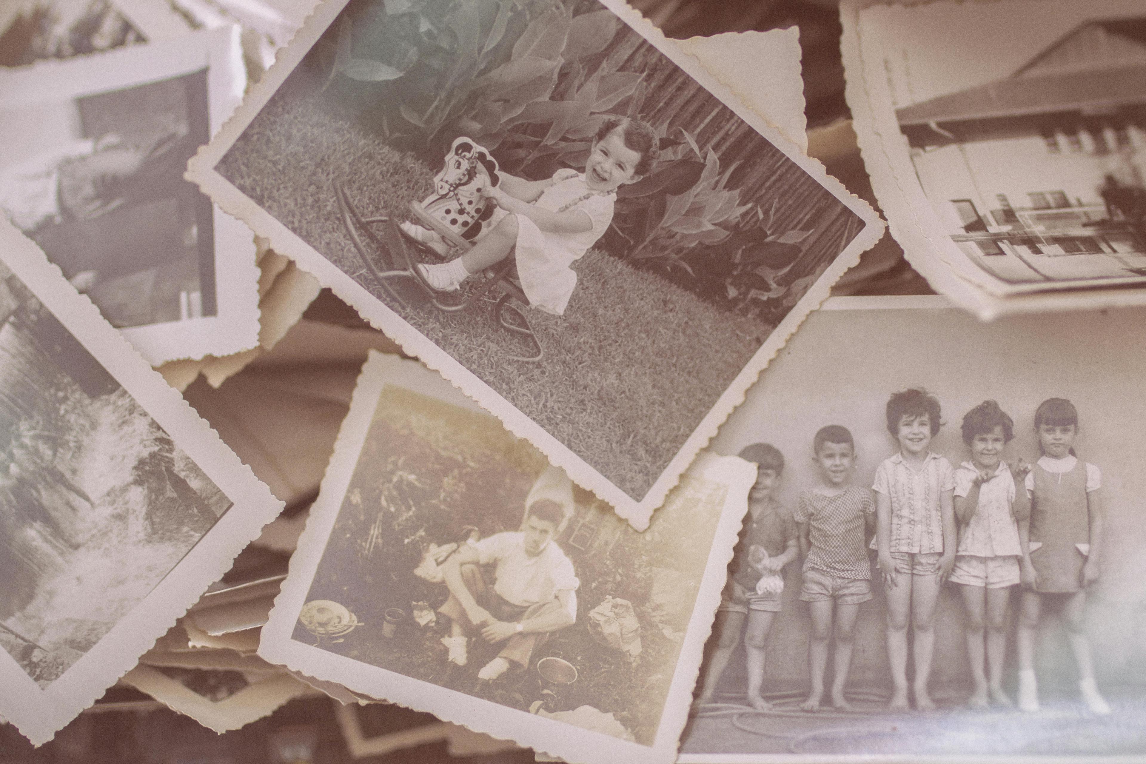 Comparing PhotoPanda and LegacyBox: Which Digitization Service Is Right for You?